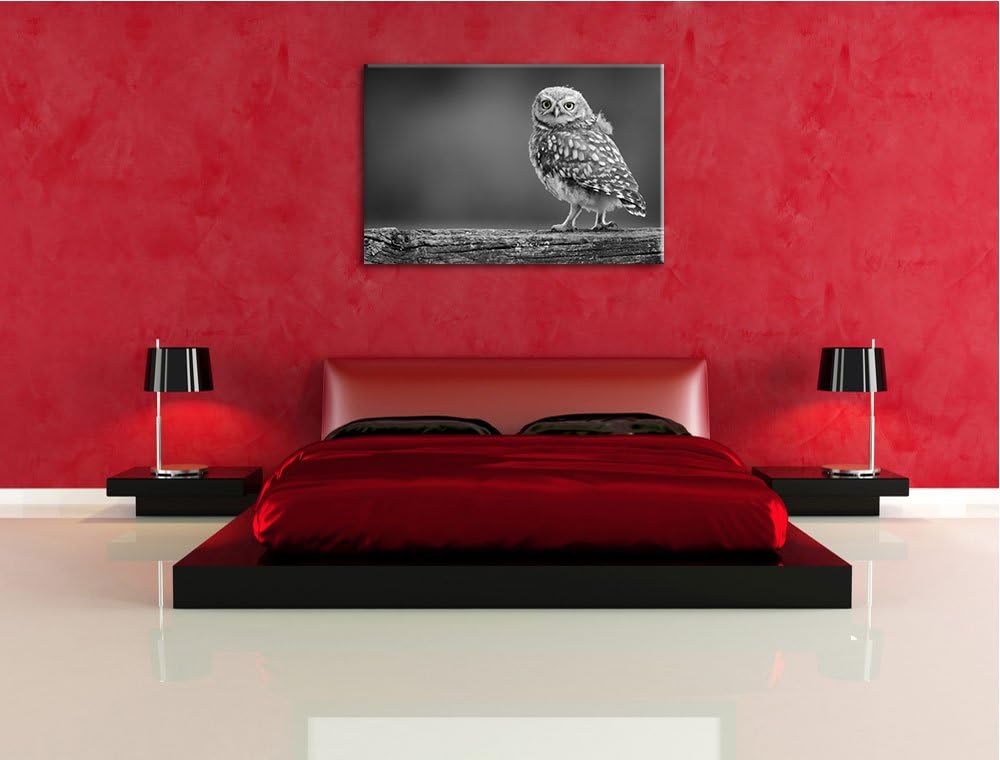 süsse Eule auf Ast schwarz/weiss Format: 100x70 auf Leinwand, XXL riesige Bilder fertig gerahmt mit