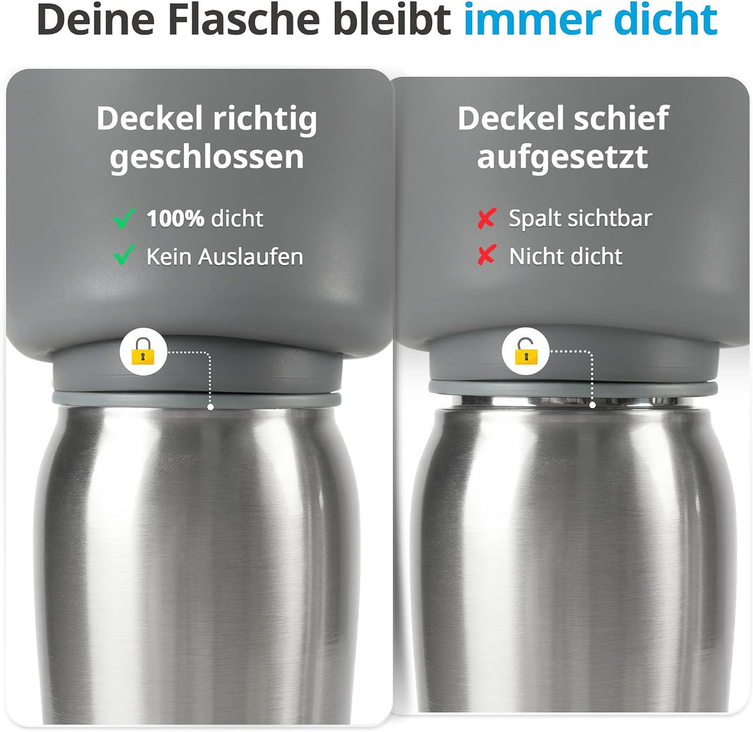 Petace Hunde Trinkflasche für Unterwegs, 750 ml Isolierte Edelstahl Hundetrinkflasche, Tragbare Wass