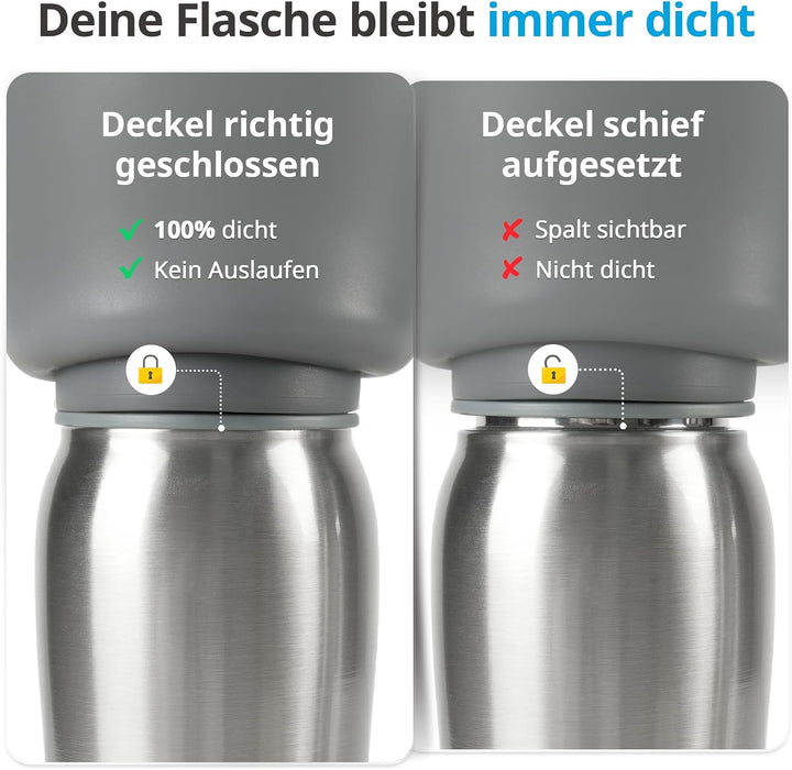 Petace Hunde Trinkflasche für Unterwegs, 750 ml Isolierte Edelstahl Hundetrinkflasche, Tragbare Wass