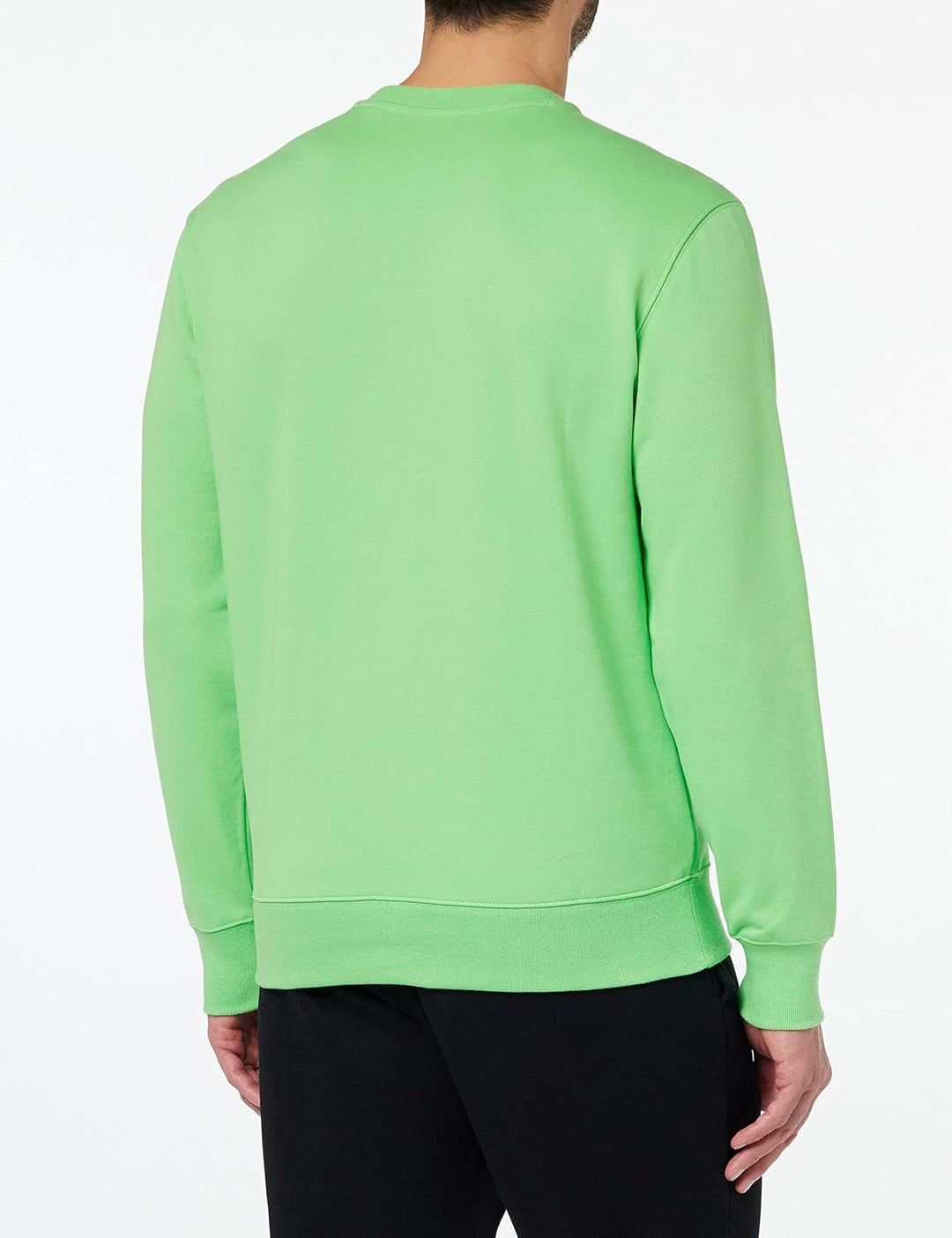 Champion Herren Sweatshirt S Minzgrün (Sgb), S Minzgrün (Sgb)