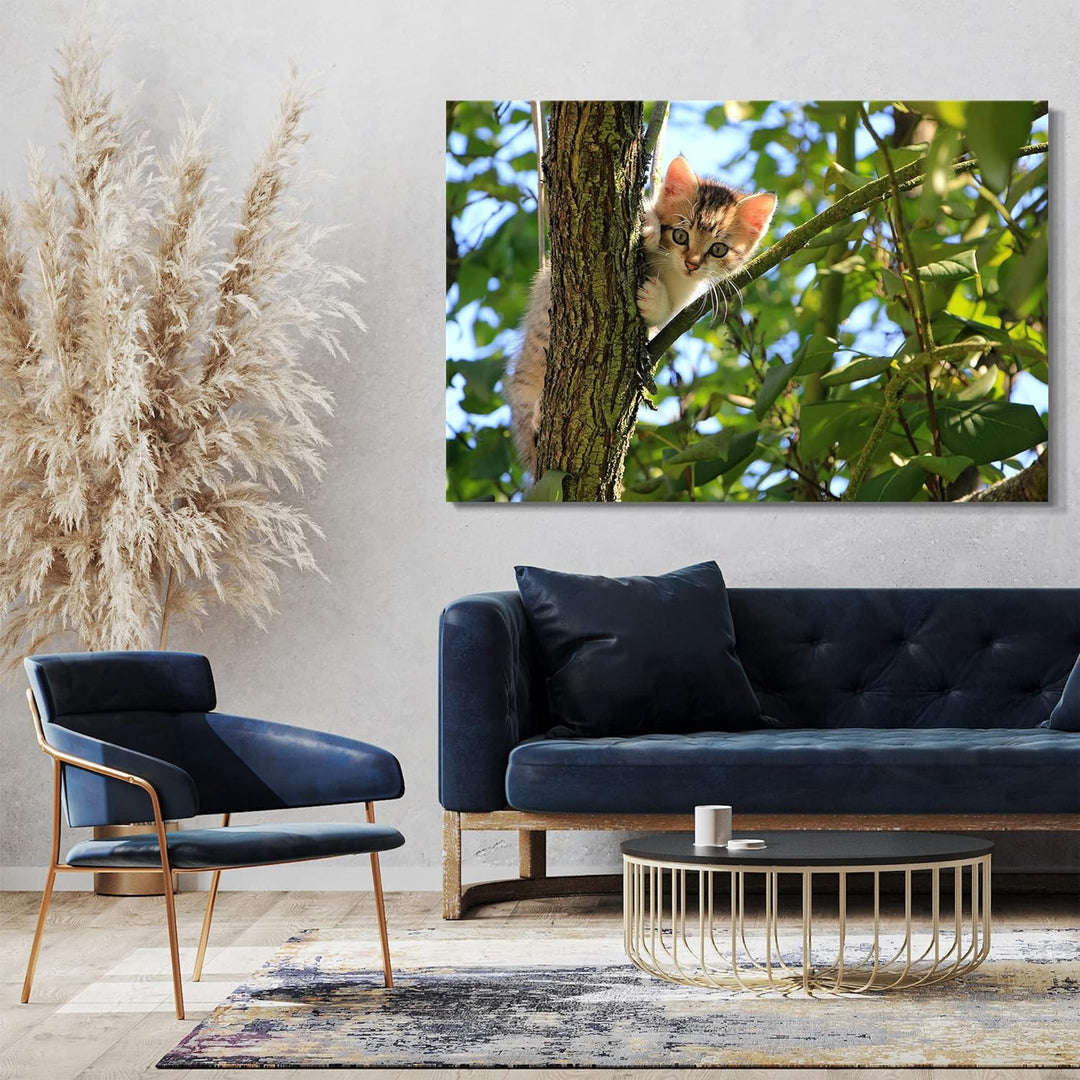 Leinwand (60x40cm): Katzenbaby im Baum süss Katzenbilder Katzen 60x40 cm, 60x40 cm