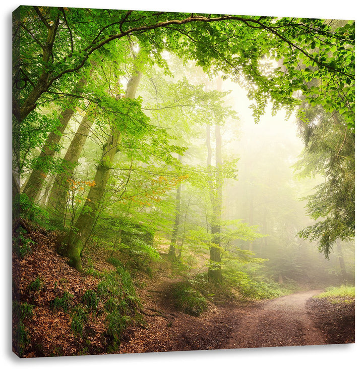 Sonnenstrahlen Waldweg, Format: 70x70 auf Leinwand, XXL riesige Bilder fertig gerahmt mit Keilrahmen