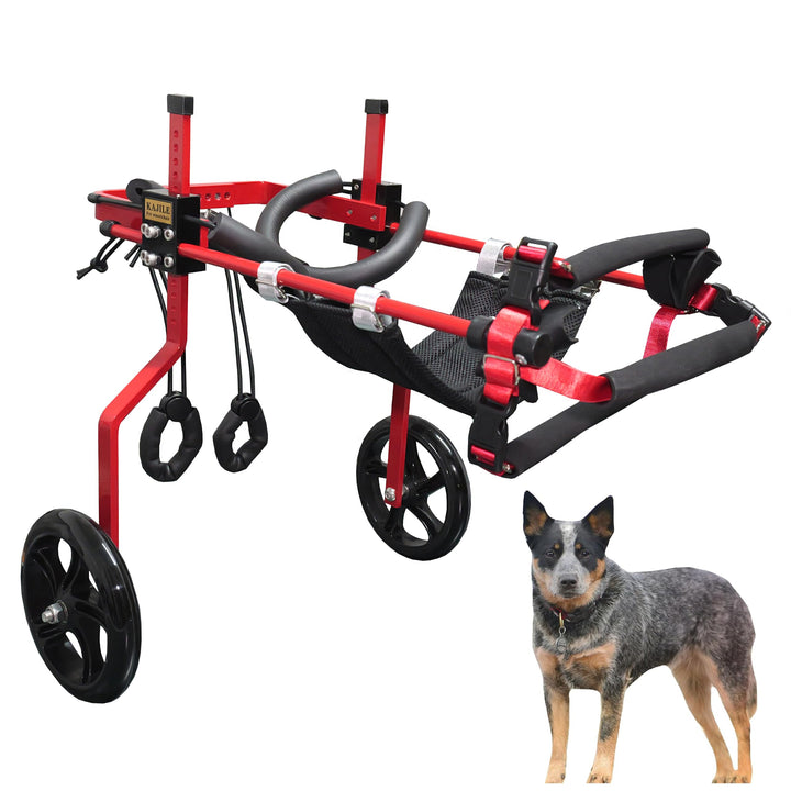 KAJILE Verstellbarer 2-Rad-Hunderollstuhl, L-3 Grösse für behinderte Hund Hinterbeine Rehabilitation