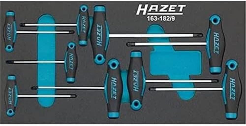 HAZET 163-182/9 Torx-Schraubendreher-Satz, 163-182/9