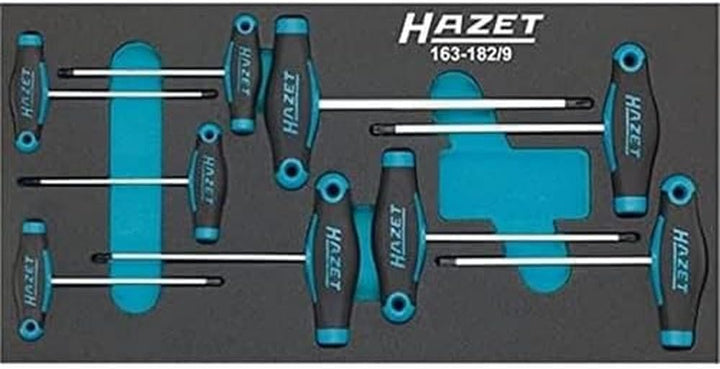 HAZET 163-182/9 Torx-Schraubendreher-Satz, 163-182/9