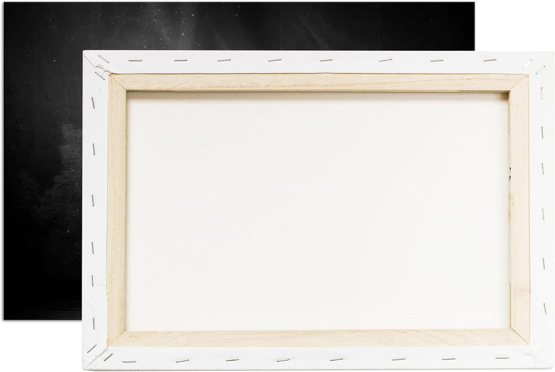 deyoli Einhorn auf einer Waldlichtung Format: 80x60 Effekt: Schwarz&Weiss als Leinwandbild, Motiv fe