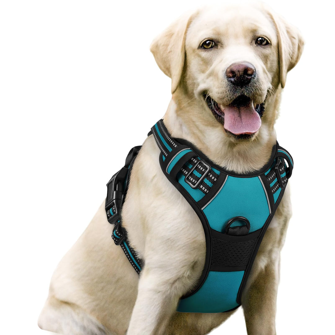 rabbitgoo Hundegeschirr Mittelgrosse Hunde, Anti Zug Geschirr mit Kontrolle, No Pull Verstellbar Hun
