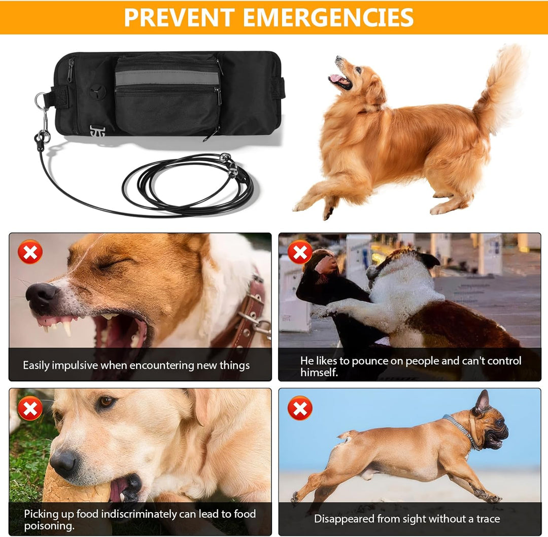 Hundeleckerlibeutel, Tragbarer Trainingsbehälter Hundeleckerli Beutel Hundetraining Bauchtasche Hund