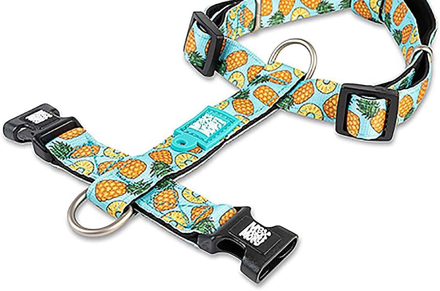 Max & Molly H-Geschirr - Sweet Pineapple, M M Sweet Pineapple, M Sweet Pineapple