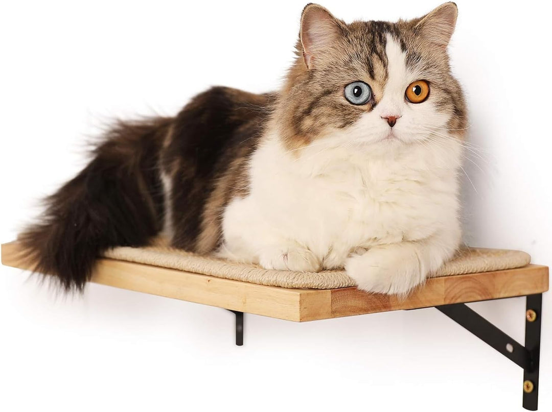 FUKUMARU Kletterwand Katzen, Katzenbett Wand aus 2cm dickem massivem Gummiholz mit widerstandsfähige