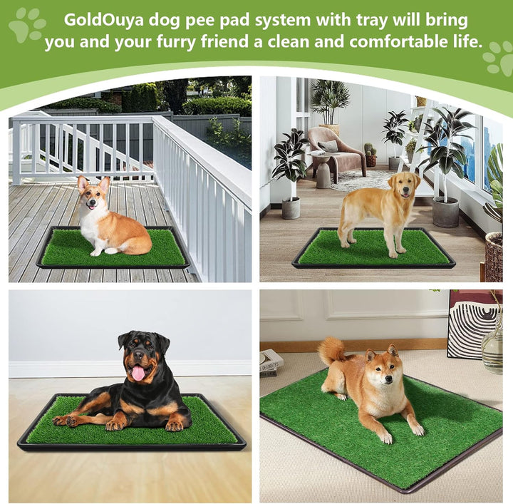 GoldOuya 60 x 90 cm Hundegras-Pad mit Tablett für Innen-und Aussenbereich,grosse Hunde-Töpfchentrain