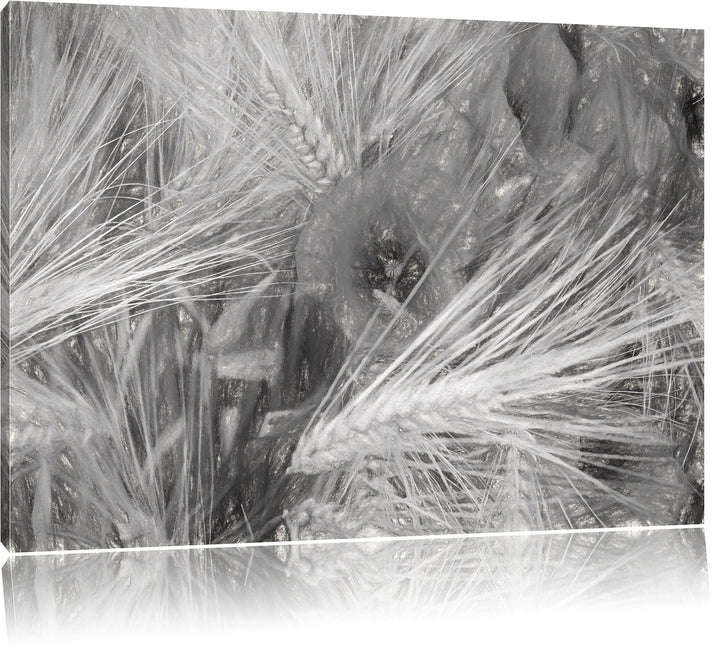 Pixxprint Mohnblumen auf dem Mais-Feld als Leinwandbild/Grösse: 100x70 / Wandbild/Kunstdruck/fertig