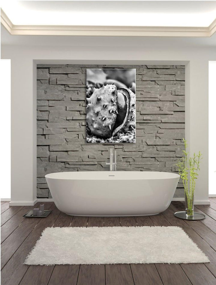 Pixxprint Monocrome, Erste Kastanie öffnet Sich, Format: 100x70 auf Leinwand, riesige Bilder fertig