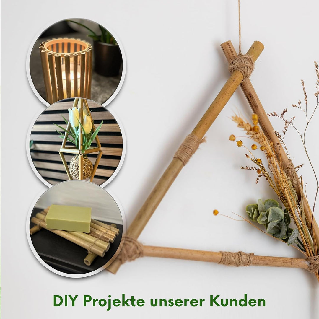 Bambusröhrchen für Insektenhotel | 15 cm lang | 100 Stück | Bambus Nisthülsen für Wildbienen | Füllm
