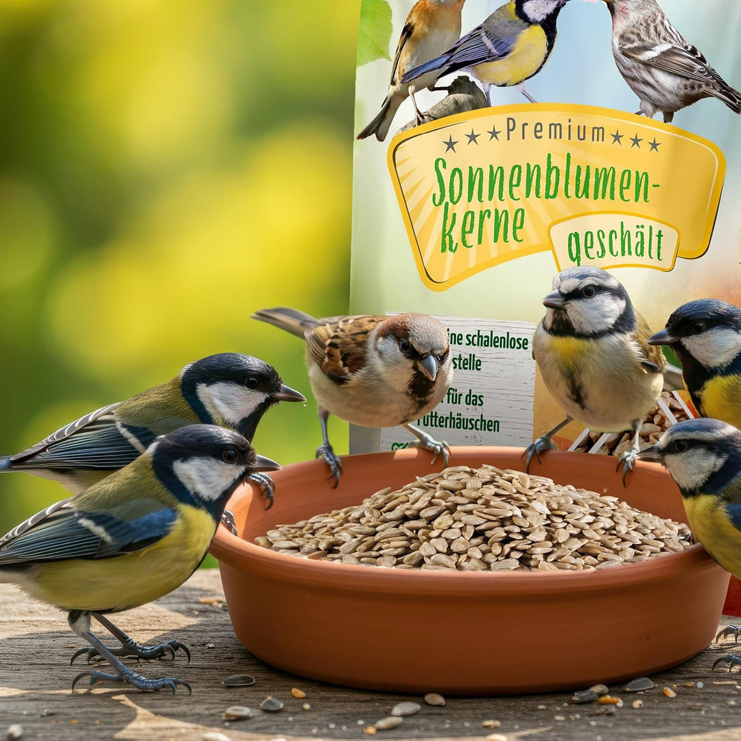 PANTO Sonnenblumenkerne geschält 25 kg – Wildvogelfutter aus reinen, schalenlosen Sonnenblumenkernen