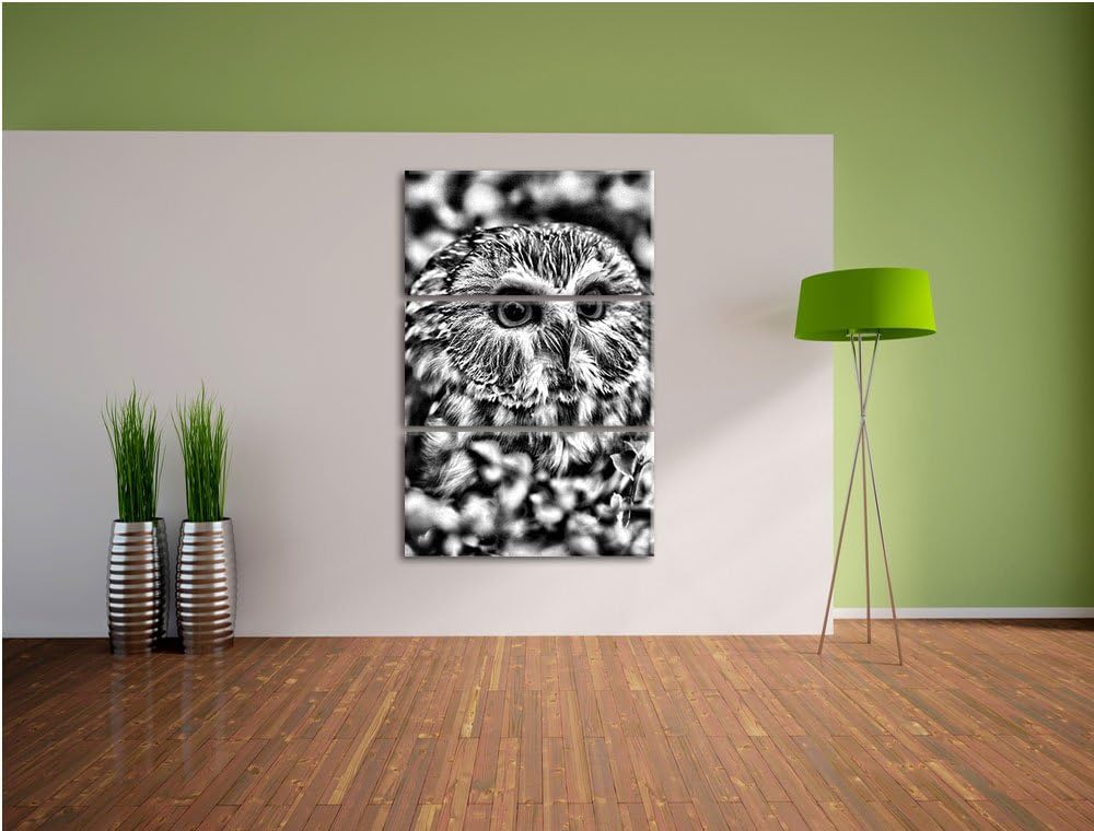 Pixxprint Eule im Vogelbeerenstrauch als Leinwandbild/Grösse: 3 Teilig (120x80) cm/Wandbild/Kunstdru