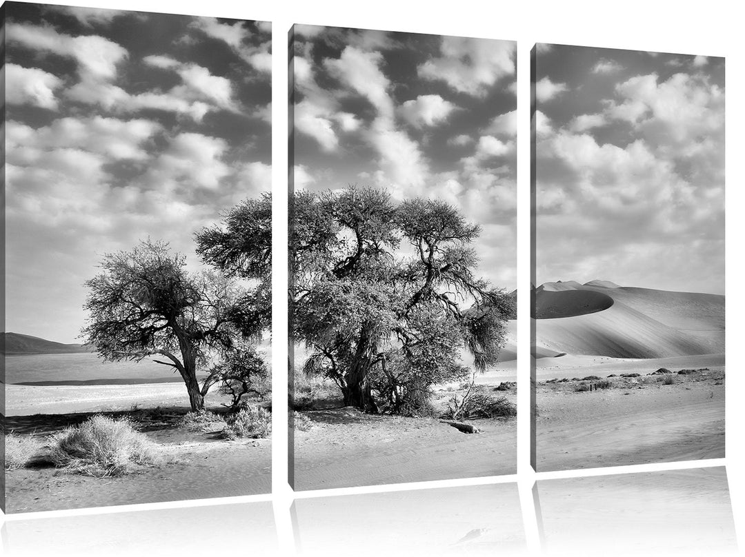 Pixxprint Monocrome, kleine Bäume in Wüstenlandschaft 3-Teiler Leinwandbild 120x80 Bild auf Leinwand