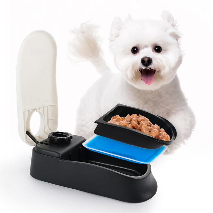 PAWISE Automatische Haustierfütterung für Hunde und Katzen, 1.5 Cup Futterspender Feeder mit 48-Stun