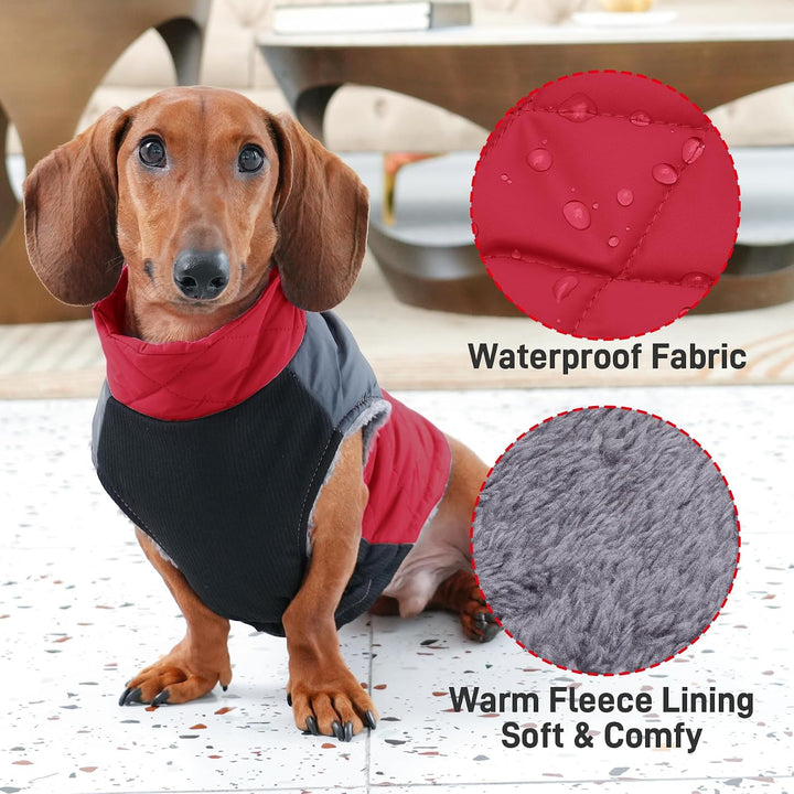 JoyDaog Warmer Fleece-Hundemantel für kleine Hunde, D-Ringe, wasserdichte Welpenjacke für den kalten