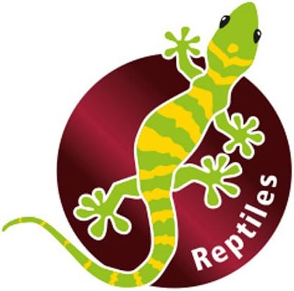 Hobby 34076 Terrano Kalzium, ocker, Durchmesser 2-3 mm, 25 kg 25 kg ocker, 25 kg ocker