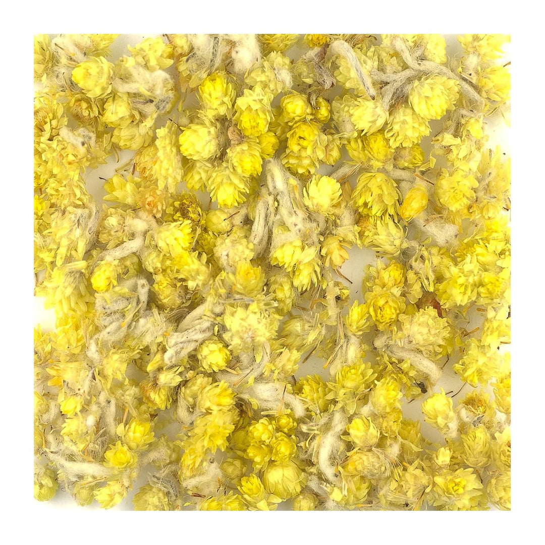 300g Katzenpfötchen Tee Sand-Strohblume Immortelle Ruhrkraut | Galsters Kräuter 300 g, 300 g