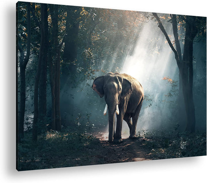 deyoli stolzer Elefant im Wald Format:90x60 cm als Leinwandbild, Motiv fertig gerahmt auf Echtholzra