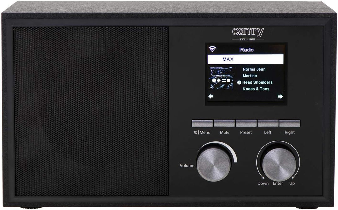CAMRY CR 1180 DAB Internetradio Digitalradio Über 20.000 Sender Weltweit Wi-Fi Verbindung AUX Wetter
