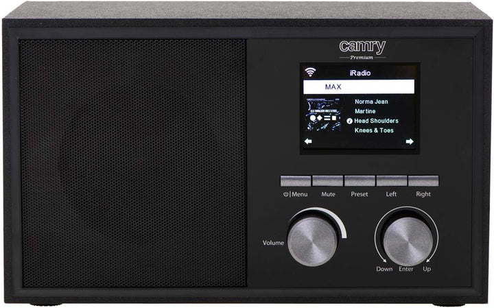 CAMRY CR 1180 DAB Internetradio Digitalradio Über 20.000 Sender Weltweit Wi-Fi Verbindung AUX Wetter