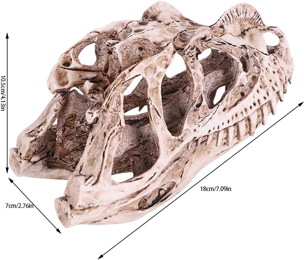 VIFERR Dinosaurier-Schädel-Modell Harz simuliertes Dinosaurier-Skelett Home-Office-Dekor Handwerk Le