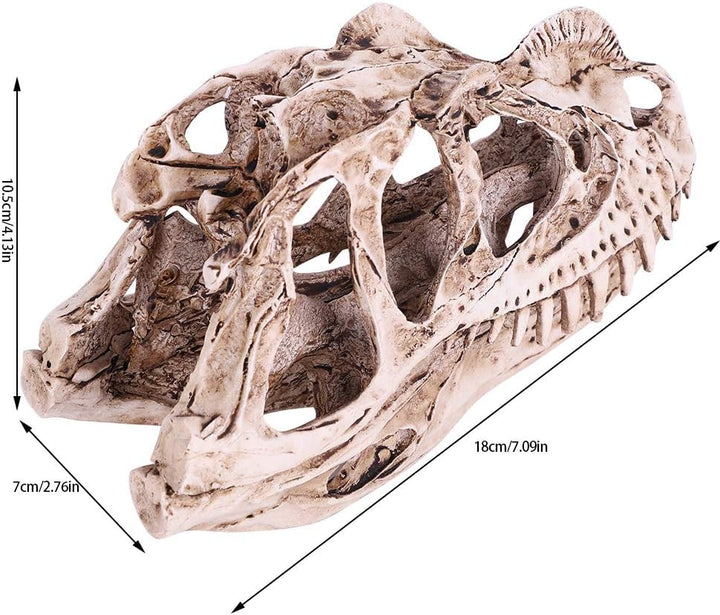 VIFERR Dinosaurier-Schädel-Modell Harz simuliertes Dinosaurier-Skelett Home-Office-Dekor Handwerk Le