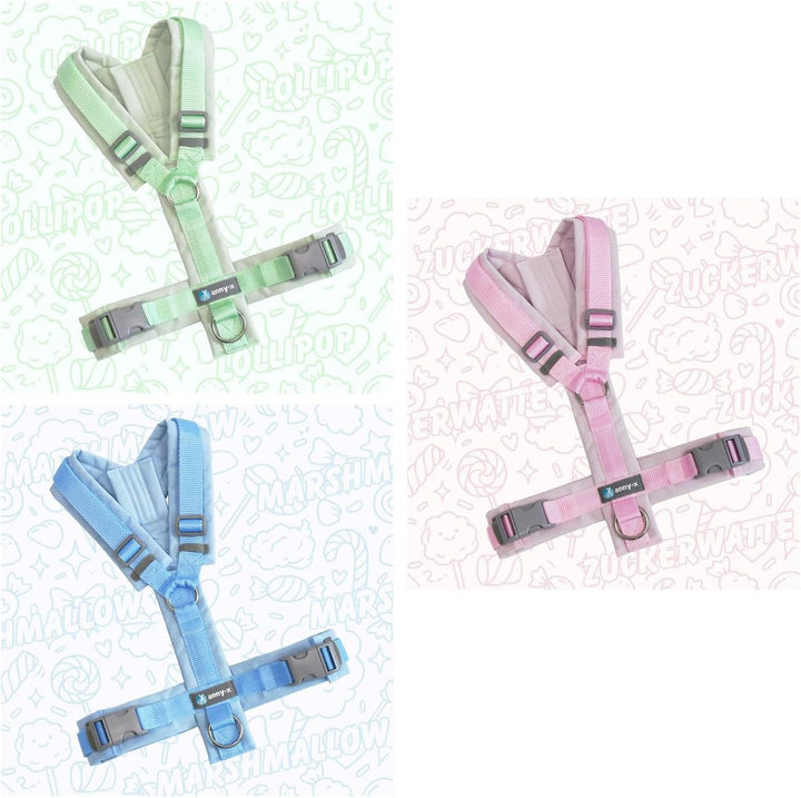 Anny-X Brustgeschirr Fun Zuckerwatte | Hundegeschirr Grösse S-Lang (Brustumfang 52-64 cm)