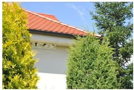 MKW - Nistkasten für Fensterschwalben, hochwertig, dreifach