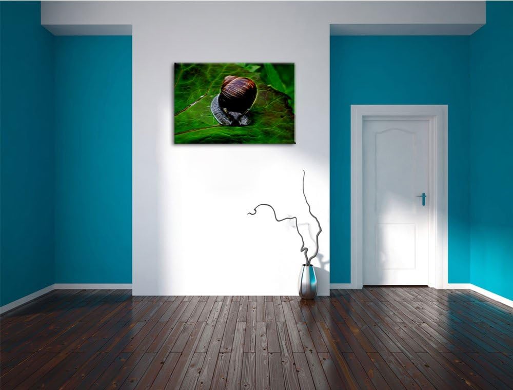 kleine Schnecke mit Schneckenhaus Deluxe Format: 100x70 cm auf Leinwand, XXL riesige Bilder fertig g