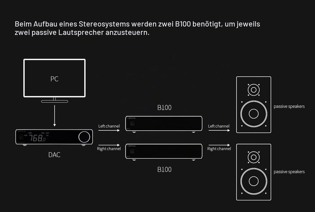 Topping B100, Leistungsstufe mit 100 W und 3 Verstärkungsmodi, Schwarz