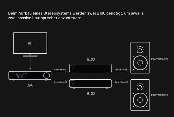 Topping B100, Leistungsstufe mit 100 W und 3 Verstärkungsmodi, Schwarz