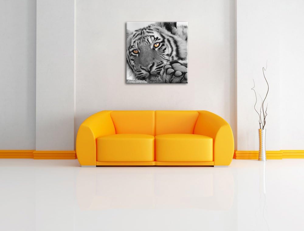 Pixxprint entspannter Tiger schwarz/weiss, Format: 70x70 auf Leinwand, 70x70
