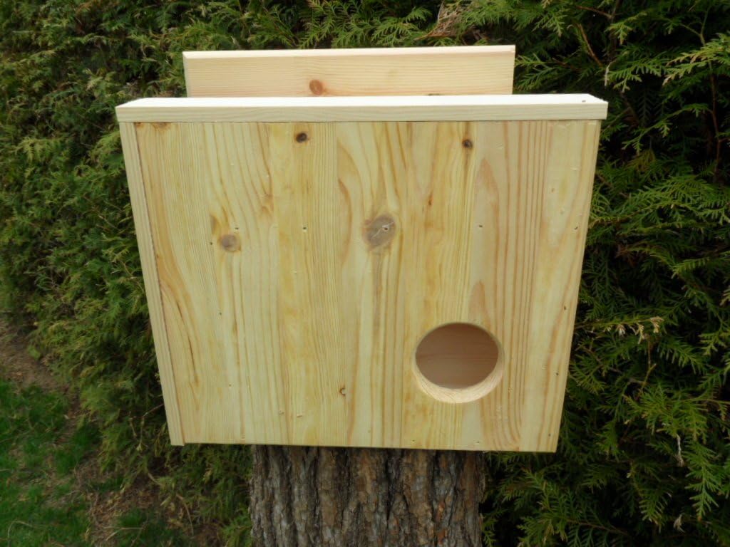 XXXL Eichhörnchen Kobel/Futterhaus aus hochwertigem Vollholz, deutsches Qualitätsprodukt,von Hand ge