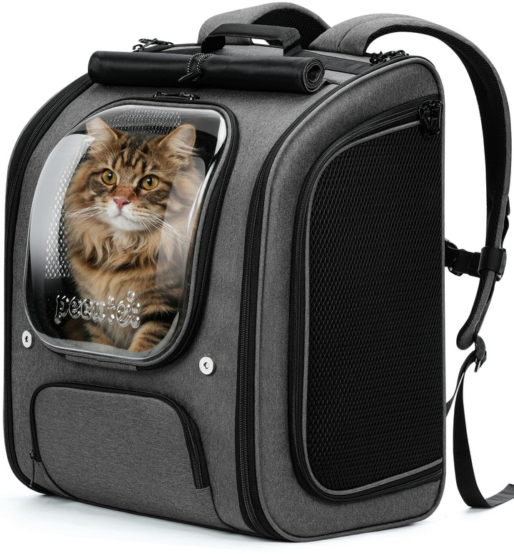 pecute Katzenrucksack Bubble Haustier Rucksack mit Netzfenster, Tragbare und Faltbare Katzentasche,