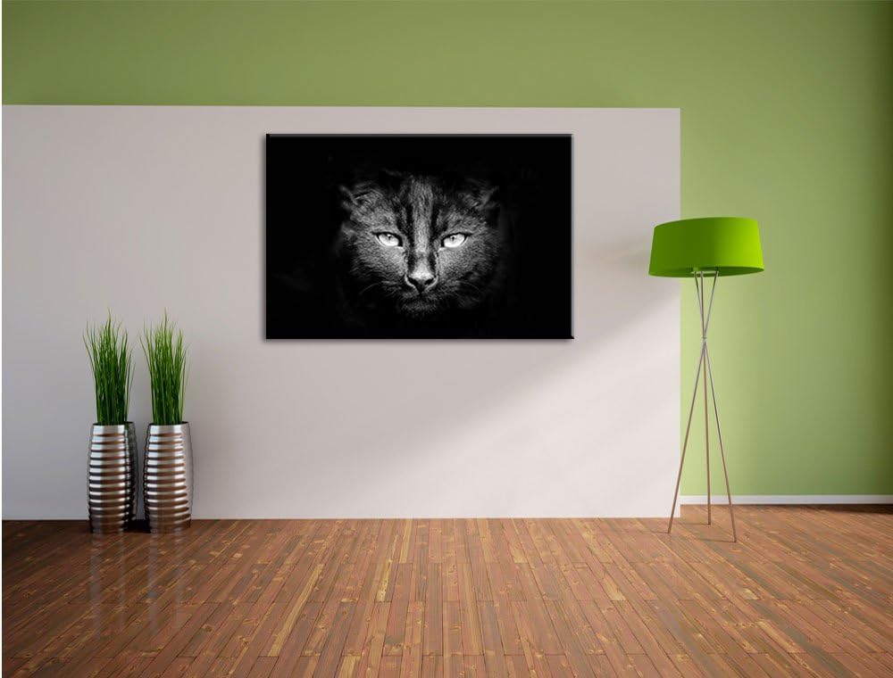 Pixxprint Dark schwarzes Katzengesicht als Leinwandbild/Grösse: 100x70 cm/Wandbild/Kunstdruck/fertig