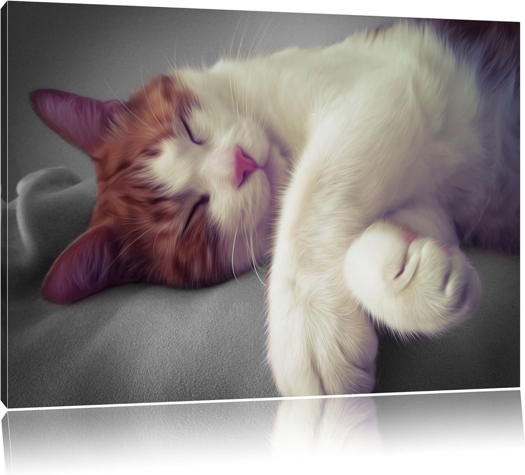 schlafende Katze auf Decke schwarz/weiss Format: 100x70 auf Leinwand, XXL riesige Bilder fertig gera