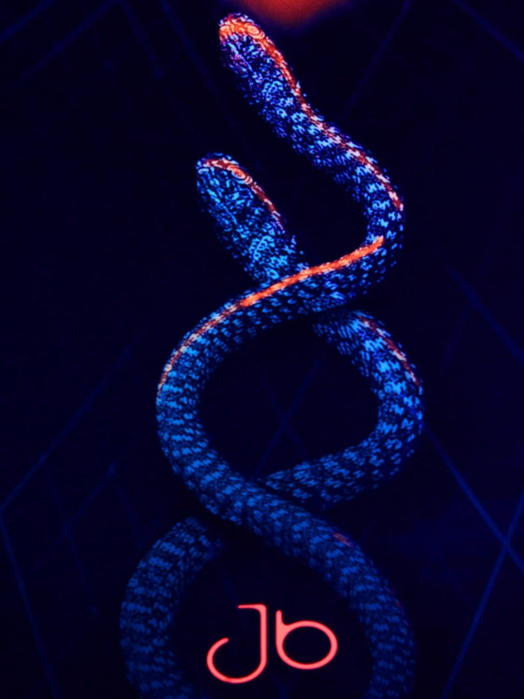 PSYWORK Schwarzlicht Stoffposter Neon | Resonance | 0,55 x 0,68m | UV-aktiv | fluoreszierend | Wandb
