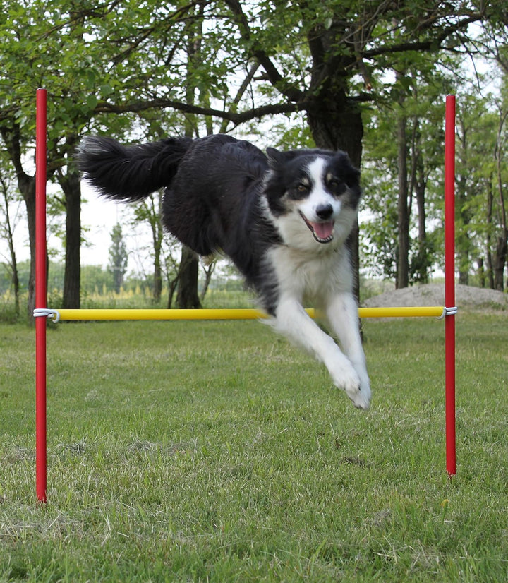 4 X Agility-ÜBUNGS-HÜRDEN-Set IN ROT/GELB