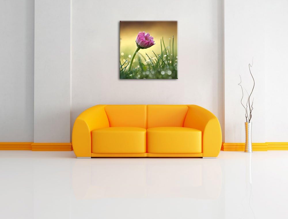 rosa Gänseblümchen im Gras, Format: 70x70 auf Leinwand, XXL riesige Bilder fertig gerahmt mit Keilra