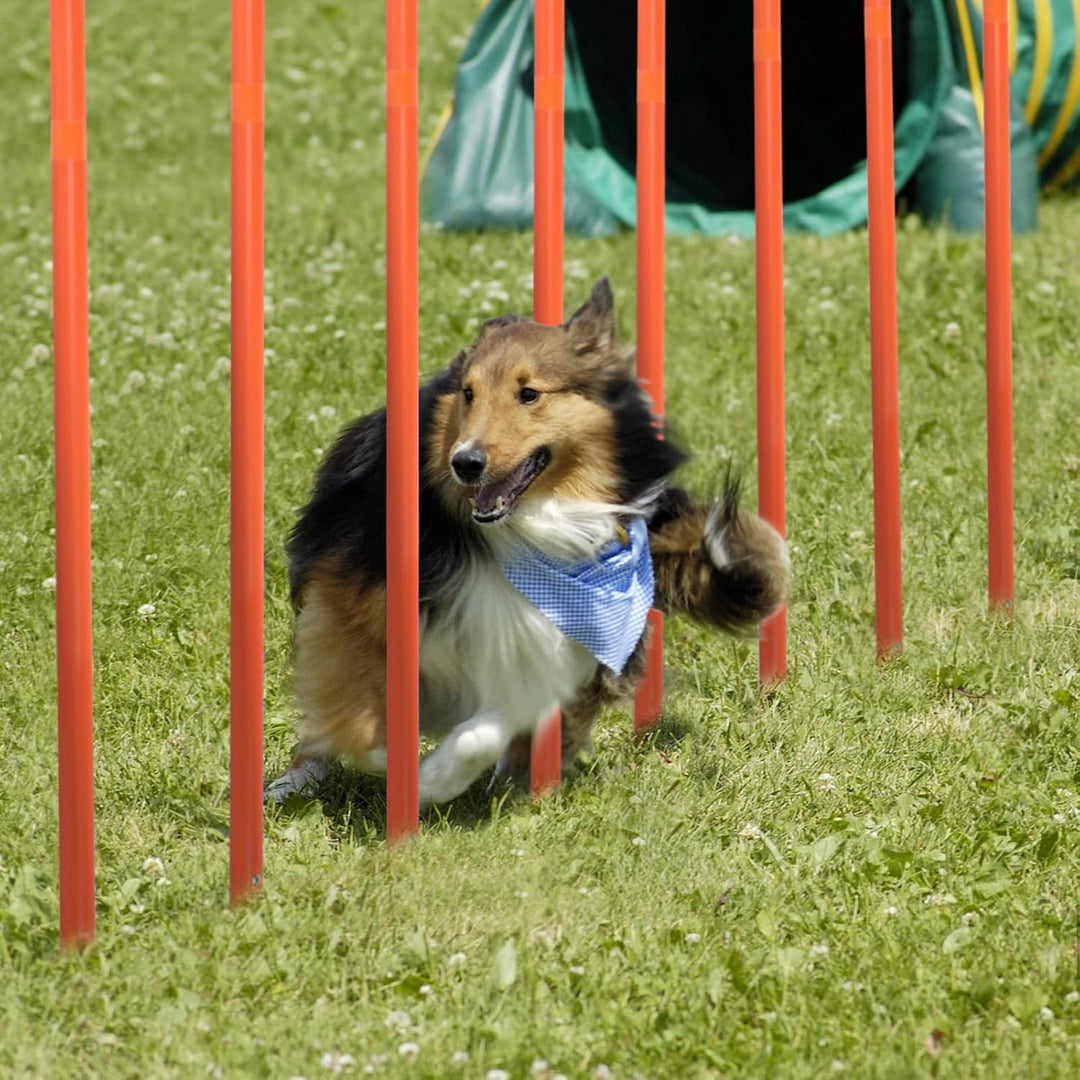 AufuN Agility Ausrüstungs Set für Hunde, Training Hindernisse mit Hundetunnel,Geflochtene Stangen, S