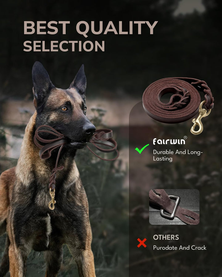 fairwin geflochten Leder Hund Leine 6 ft – K9 Walking Training führt für Deutscher Schäferhund, L:3/