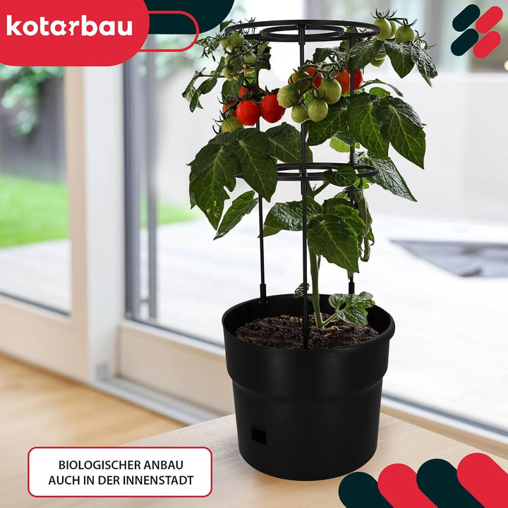 KOTARBAU® Tomaten Rankhilfe - Anzuchttöpf - ⌀ 35 cm H: 128 cm - Pflanzkübel - Blumenkasten - Rankhil