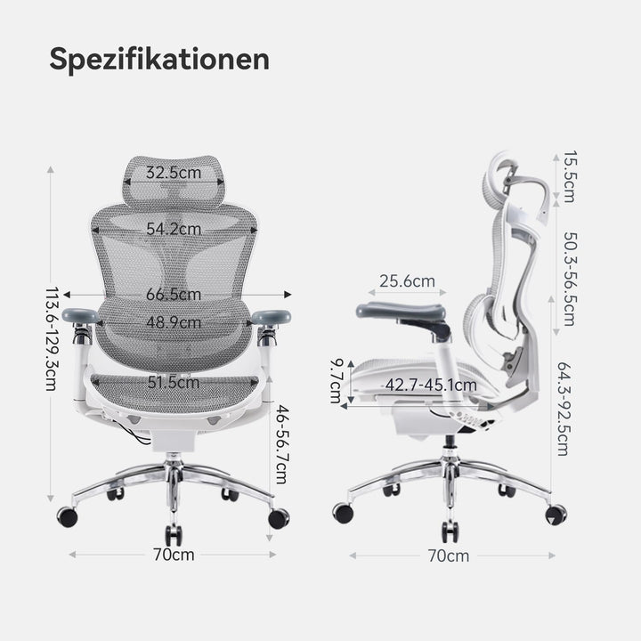 SIHOO Doro C300 Pro Ergonomischer Bürostuhl mit ultraweichen 6D-Armlehnen, dynamischer Lendenwirbels