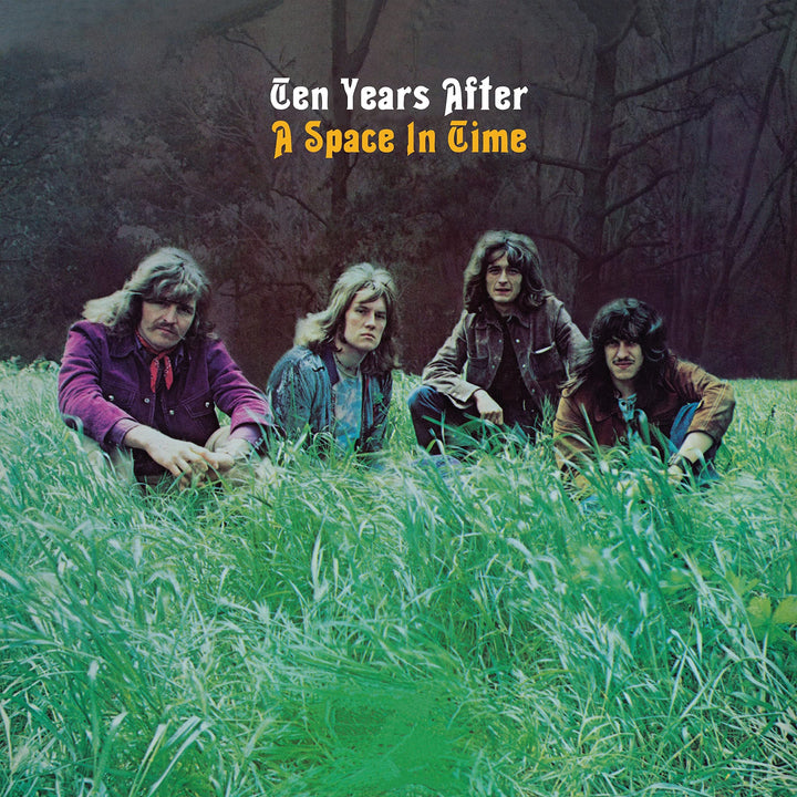 A Space in Time, Vinyl