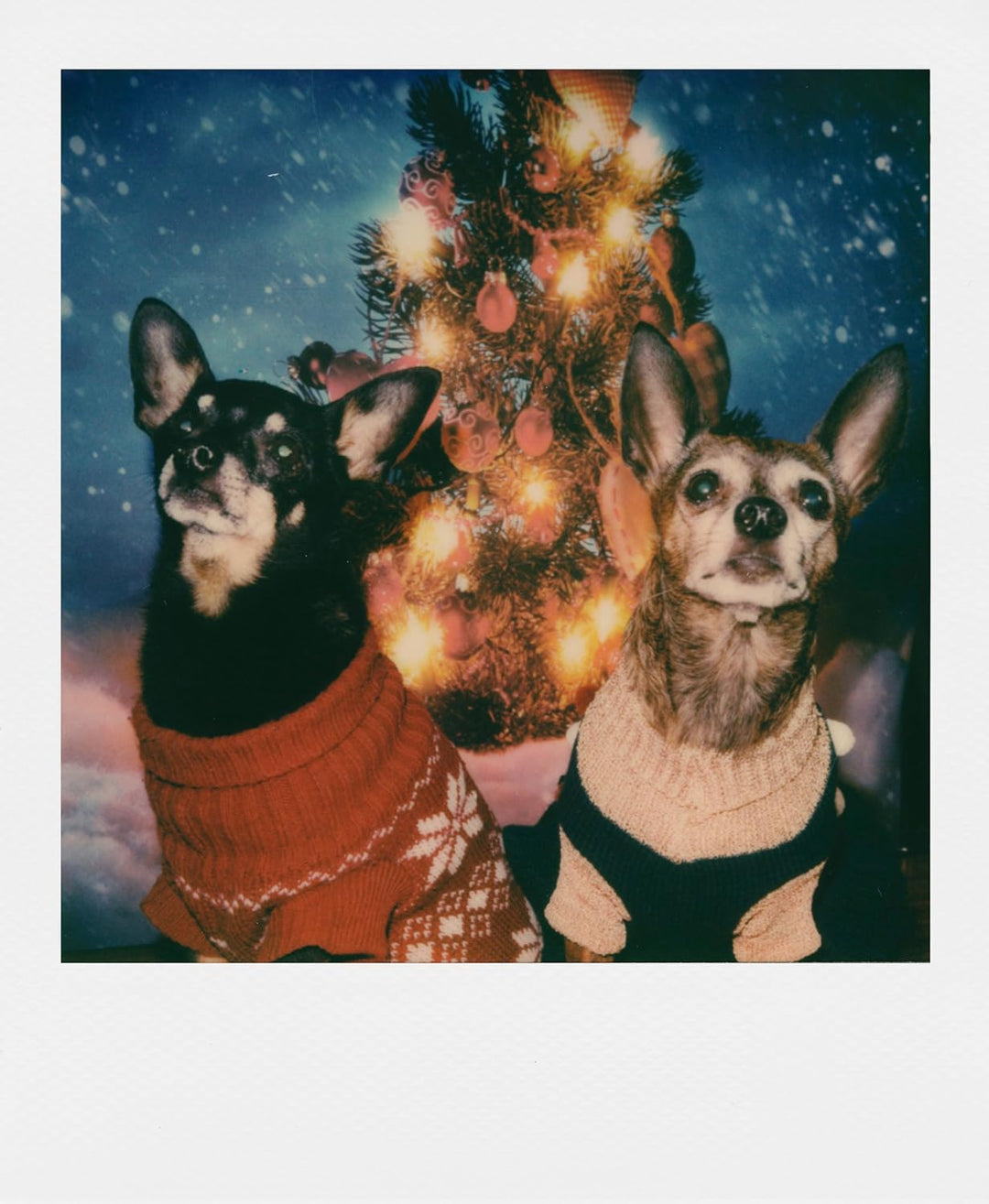 Polaroid Originals - 4670 - Sofortbildfilm Fabre fûr 600 und i-Type Kamera - White Frame Farbfilm fü
