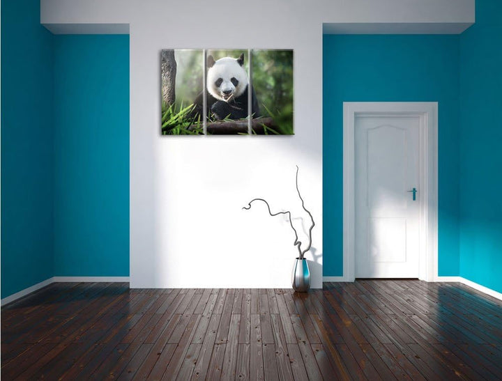 Pixxprint Niedlicher Panda isst Bambus als Leinwandbild - Grösse: 3-Teilig (120x80cm) - Wandbild - K